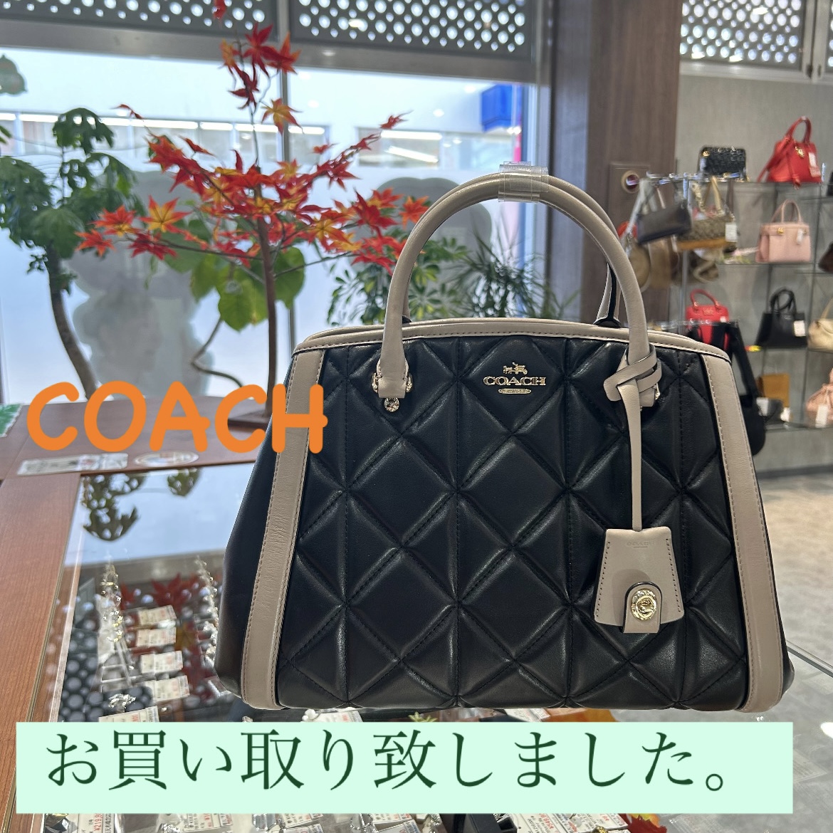 質屋かんてい局松山朝生田店】COACH(コーチ)マーゴット キャリーオール