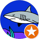 鮫他 profile picture